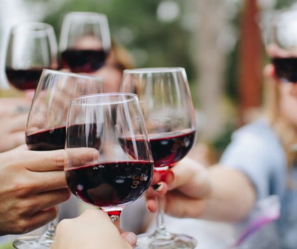 Un grupo de personas brinda con vino tinto Vertijana 3 en una actividad de enoturismo y catas