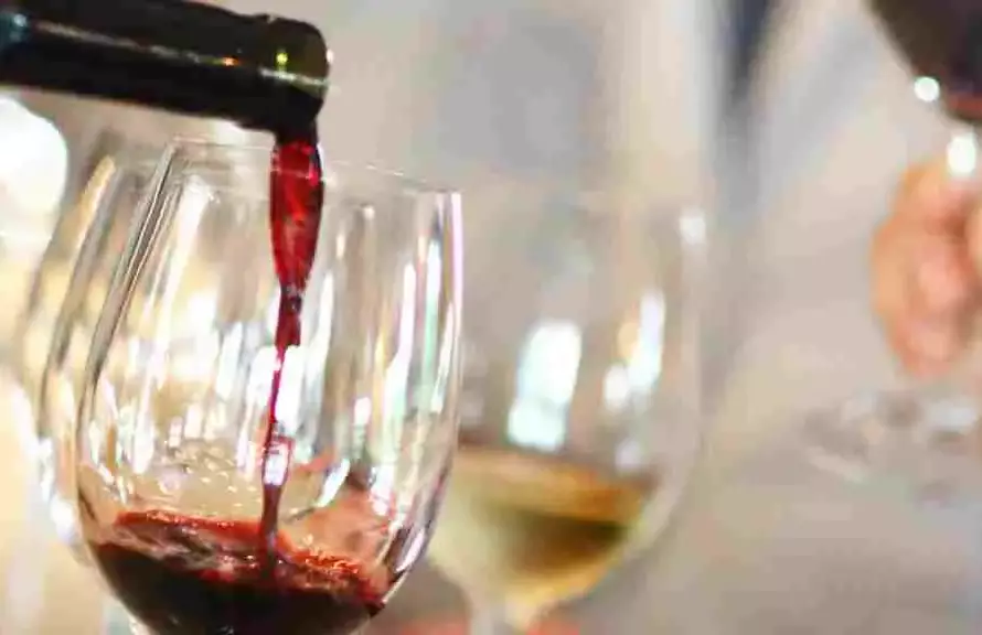 Catar vino como un profesional: la guía definitiva