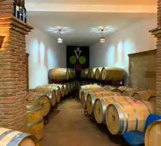 Sala de barricas de vino ecológico en Bodegas Vertijana